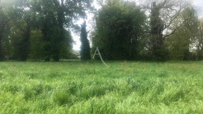 /international/fr/ploermel-brittany-310105715694/