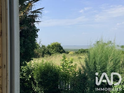 /international/fr/mortagne-sur-gironde-charente-310108990422/