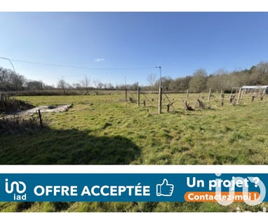 /international/fr/talmont-saint-hilaire-pays-de-la-loire-310098235368/