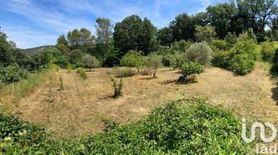 /international/fr/saint-andre-de-roquepertuis-languedoc-roussillon-310108511480/