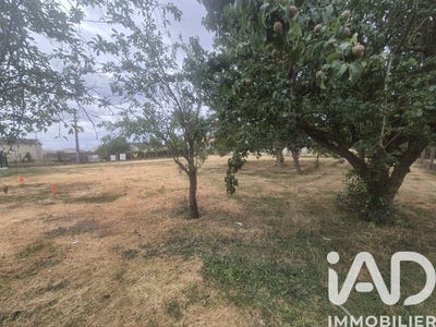 /international/fr/sainte-verge-charente-310108831834/