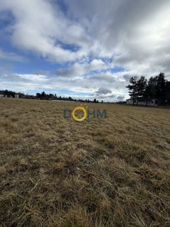 /international/fr/saint-pal-de-mons-auvergne-310105749397/