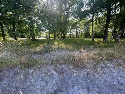 /international/fr/belhade-aquitaine-310100174284/