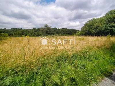 /international/fr/benais-centre-val-de-loire-310104804091/