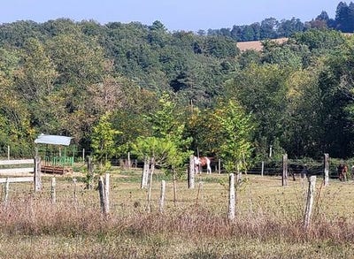 /international/fr/saint-maime-de-pereyrol-aquitaine-310101515561/?lang=zh-tw