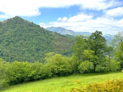 /international/fr/juncalas-midi-pyrenees-310103427562/?lang=de