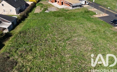 /international/fr/ibos-midi-pyrenees-310105894049/