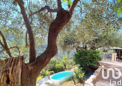 /international/fr/colomars-provence-alpes-cote-d-azur-310100857619/