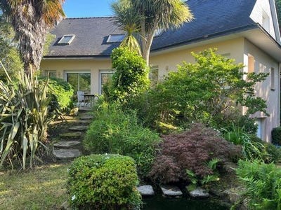 /international/fr/quimper-brittany-310105897224/