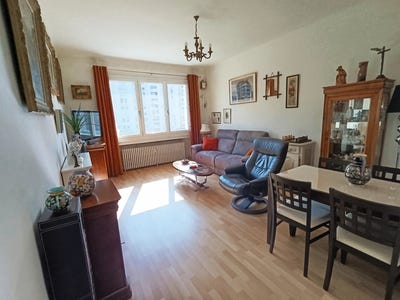 /international/fr/saint-etienne-pays-de-la-loire-310101207266/