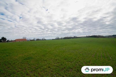 /international/fr/sempesserre-midi-pyrenees-310103177968/