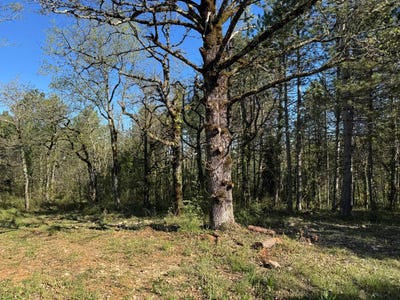 /international/fr/cahors-midi-pyrenees-310107191497/