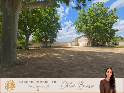 /international/fr/puisserguier-languedoc-roussillon-310105924890/