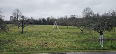 /international/fr/saint-cyr-sur-morin-ile-de-france-310105987163/