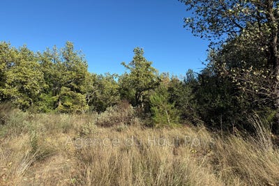 /international/fr/saint-cezaire-sur-siagne-provence-alpes-cote-d-azur-310108292841/
