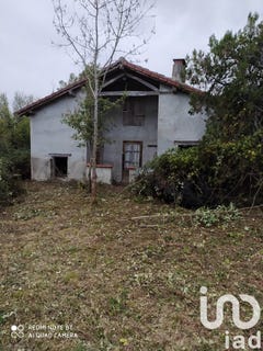 /international/fr/thil-rhone-310103089645/
