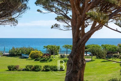 /international/fr/sisco-corsica-310107743099/