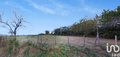 /international/fr/saint-christophe-charente-310101278341/