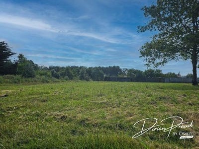 /international/fr/soullans-pays-de-la-loire-120097653697/