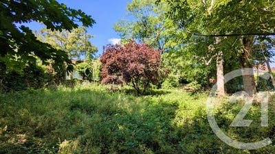 /international/fr/champigny-sur-marne-ile-de-france-120094250189/