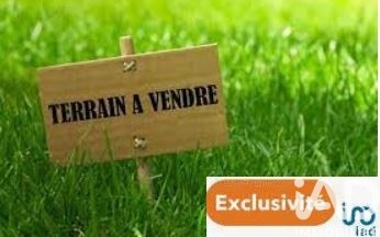 /international/fr/arleux-calais-310108241792/