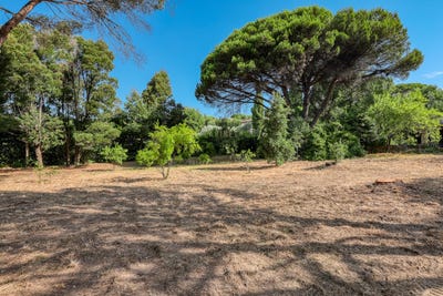 /international/fr/saint-tropez-provence-alpes-cote-d-azur-310100700282/