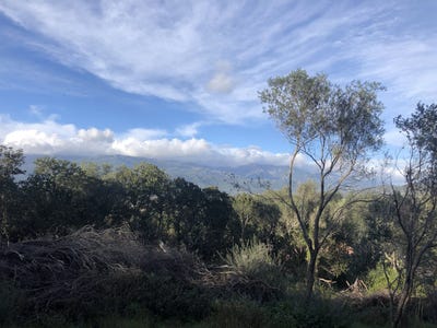 /international/fr/figari-corsica-310107840035/