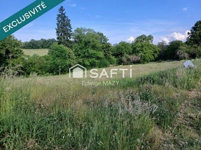 /international/fr/mainsat-limousin-310099899249/