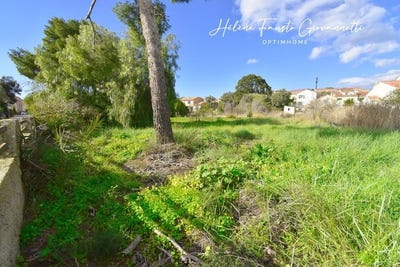 /international/fr/saint-florent-corsica-310108087921/
