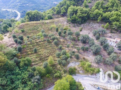 /international/fr/sainte-agnes-provence-alpes-cote-d-azur-310100540385/