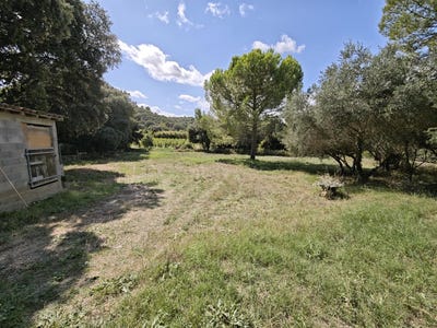 /international/fr/le-pouget-languedoc-roussillon-310104086983/