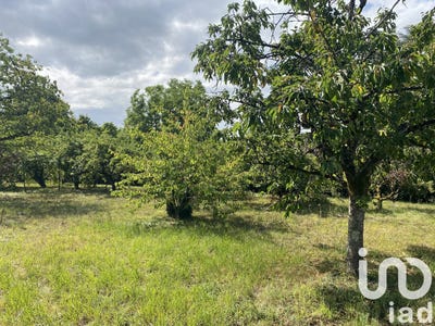 /international/fr/montigny-sur-loing-ile-de-france-310100790710/