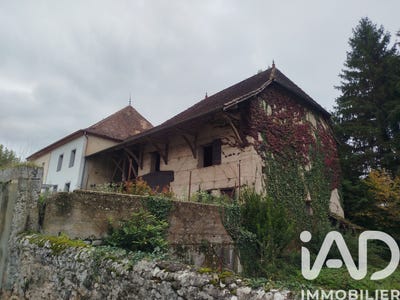 /international/fr/saint-victor-de-morestel-rhone-310103663168/