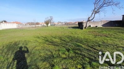 /international/fr/sevremoine-pays-de-la-loire-310105376192/