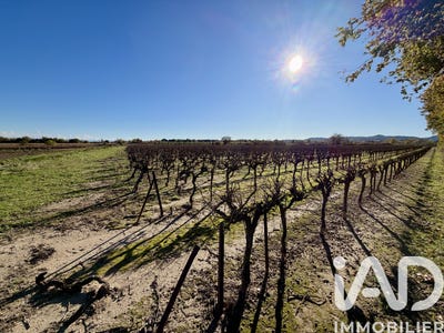 /international/fr/laudun-l-ardoise-languedoc-roussillon-310104003166/