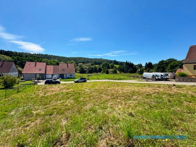 /international/fr/wimmenau-alsace-310101496469/?lang=es