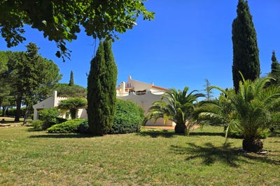 /international/fr/saint-andre-languedoc-roussillon-310108943892/