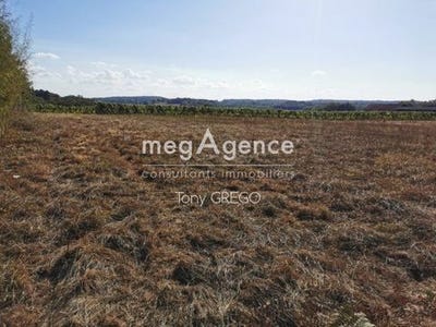 /international/fr/bouzon-gellenave-midi-pyrenees-310105341693/