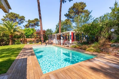 /international/fr/arcachon-aquitaine-310108278607/