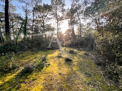 /international/fr/saint-jean-de-monts-pays-de-la-loire-310104465510/