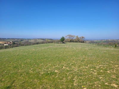/international/fr/pebees-midi-pyrenees-310107560319/
