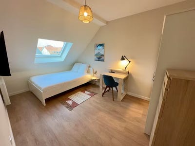 /international/fr/rue-de-sarrebourg-schiltigheim-alsace-310093859861/