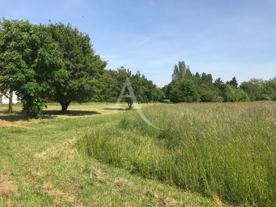 /international/fr/saint-andre-de-lidon-charente-310104469388/