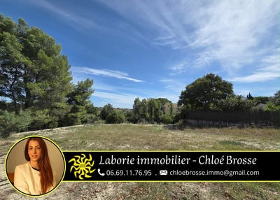 /international/fr/pailhes-languedoc-roussillon-310103016125/