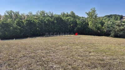 /international/fr/belcastel-midi-pyrenees-310109822285/