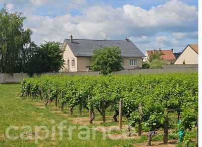 /international/fr/nuits-saint-georges-burgundy-310106780145/