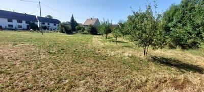 /international/fr/dimbsthal-alsace-310102514634/