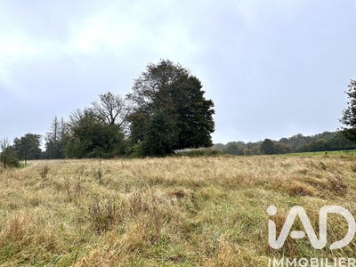 /international/fr/sevigny-la-foret-ardennes-310105715343/