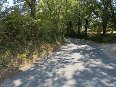 /international/fr/saix-charente-310107558039/