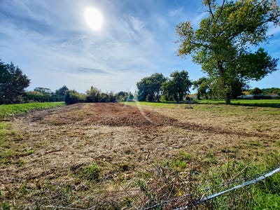 /international/fr/notre-dame-de-monts-pays-de-la-loire-310104463233/